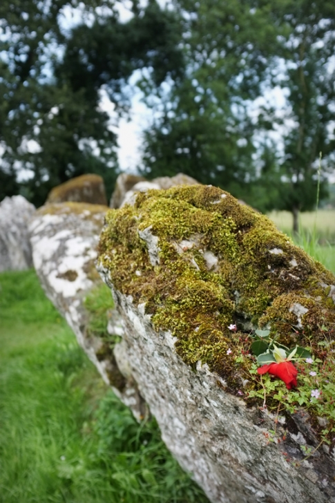 Lough Gur, Grange Stone Circle