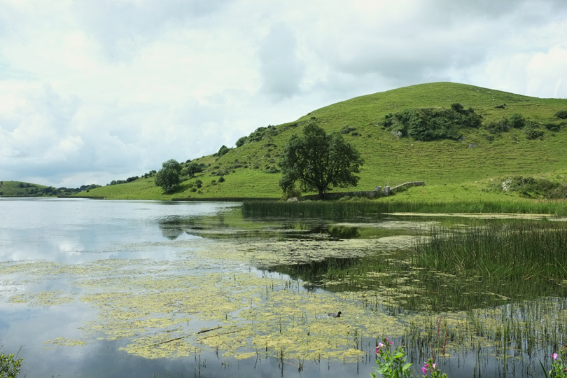 Lough Gur
