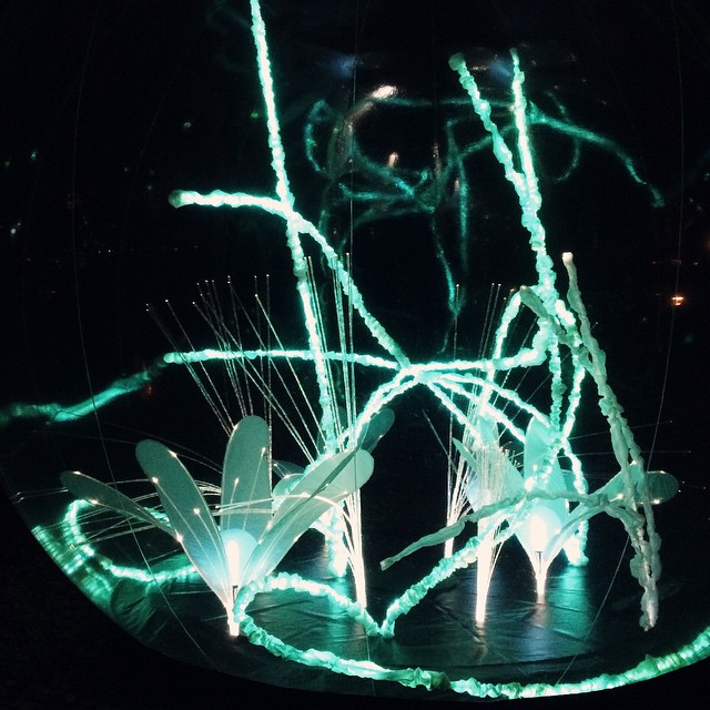 Fête des Lumières 2014 – Jardin d'hiver au Parc de la Tête d'Or