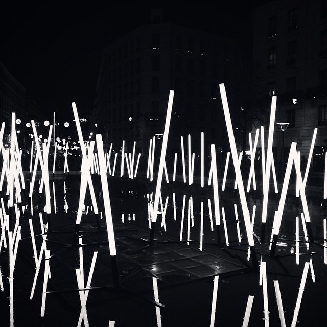 Fête des Lumières 2014 – Forêt lumineuse à la Place de la Rébublique