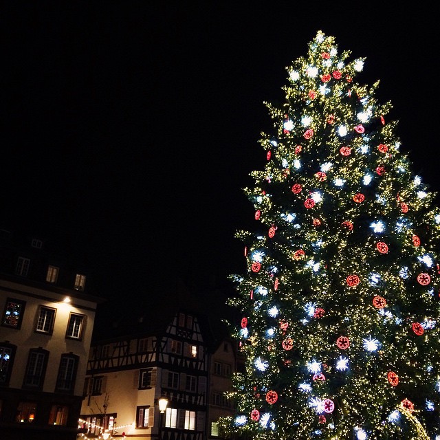Le plus grand sapin de Noël d'Europe sur la place Kléber à Strasbourg