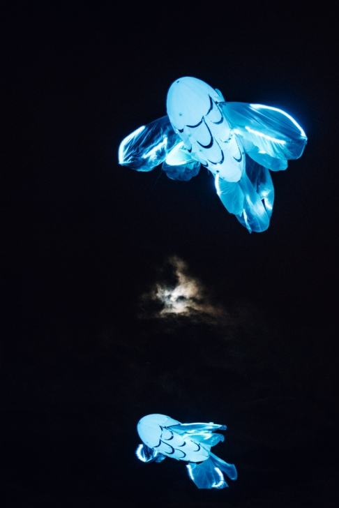 Jardin d’hiver – Parc de la Tête d'Or Fête des Lumières 2014 – Jardin d’hiver