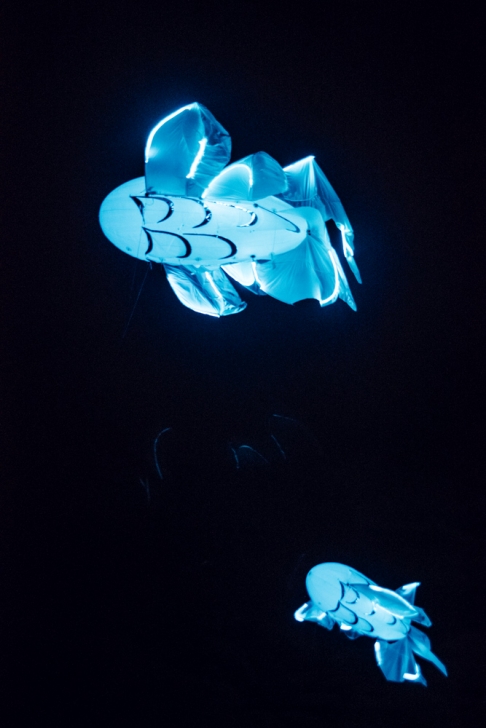Jardin d’hiver – Parc de la Tête d'Or Fête des Lumières 2014 – Jardin d’hiver