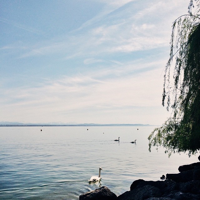 … et celle du vendredi après-midi au bord du lac de Neuchâtel