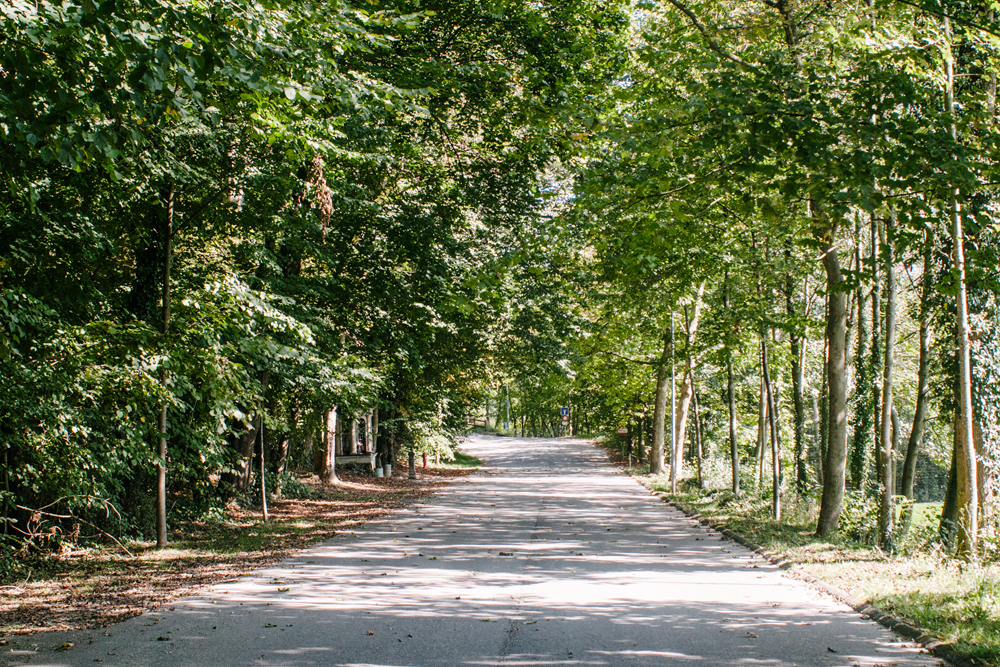 Chemin du Palatinat