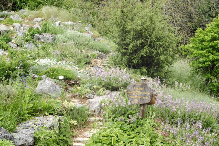 Neuchâtel – Jardin botanique – Le jardin de rocailles