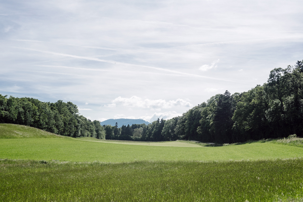 Vue sur la campagne neuchâteloise et la montagne de Boudry