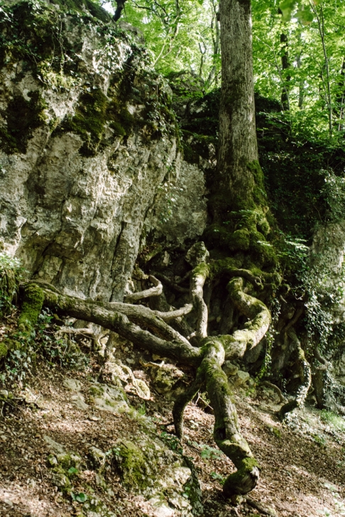 Neuchâtel – Roche de l'Ermitage