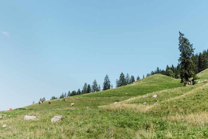 Lac noir – Schwarzsee Lac noir – Schwarzsee