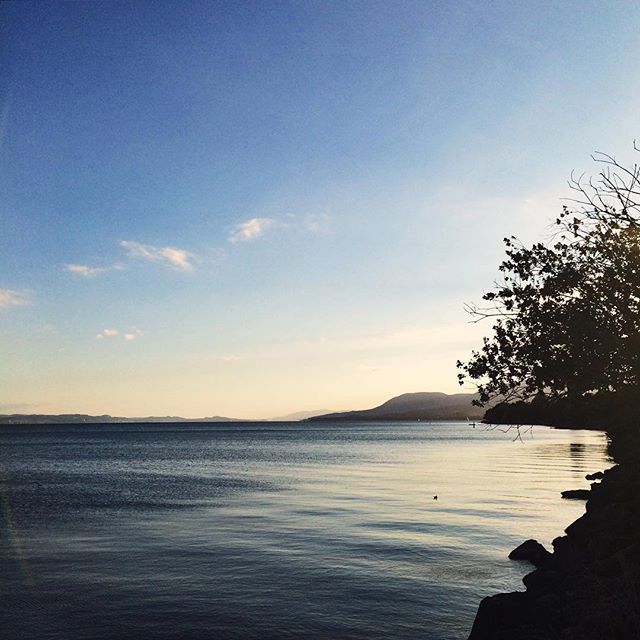 Le bord du lac, encore. Et le soleil qui se couche.