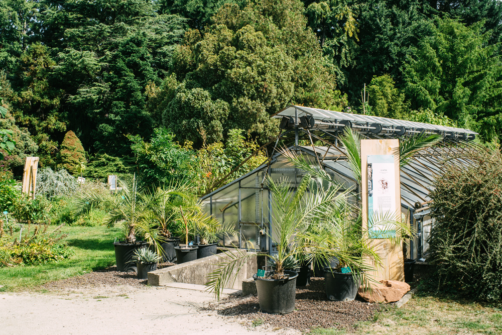 Strasbourg – Jardin botanique de l'université