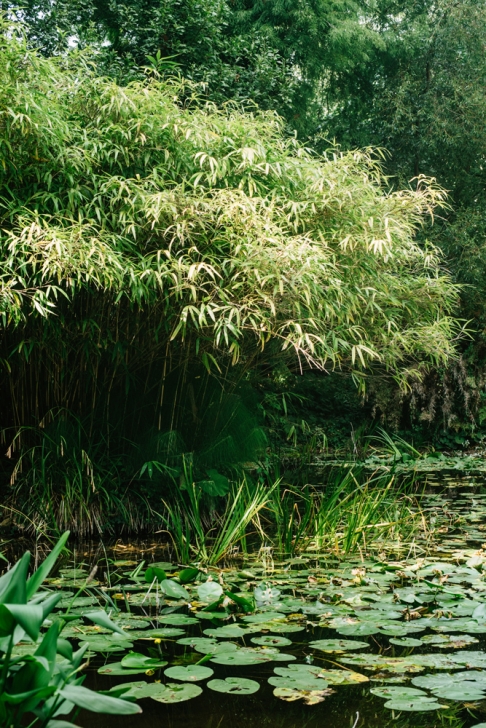 Strasbourg – Jardin botanique de l'Université