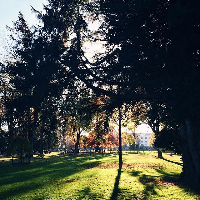 Balade au parc municipal de Bienne