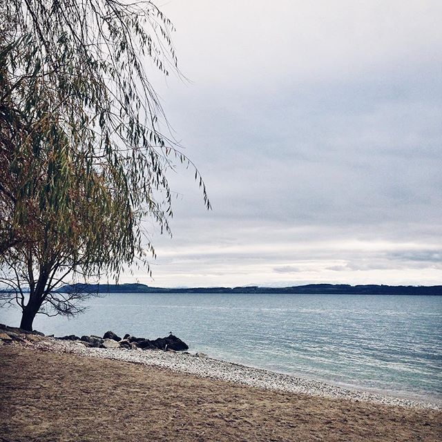 Le bord du lac de Neuchâtel en hiver