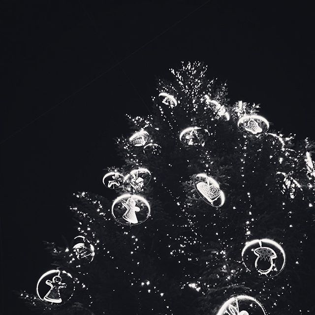 Le grand sapin du marché de Noël biennois