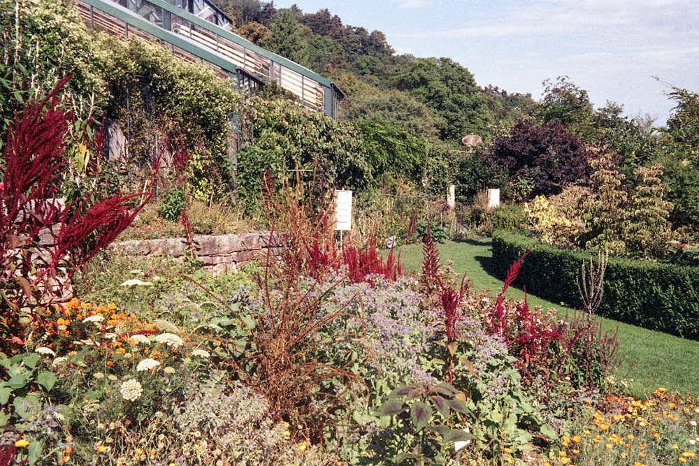 Kodak Retinette – Jardin botanique de Neuchâtel