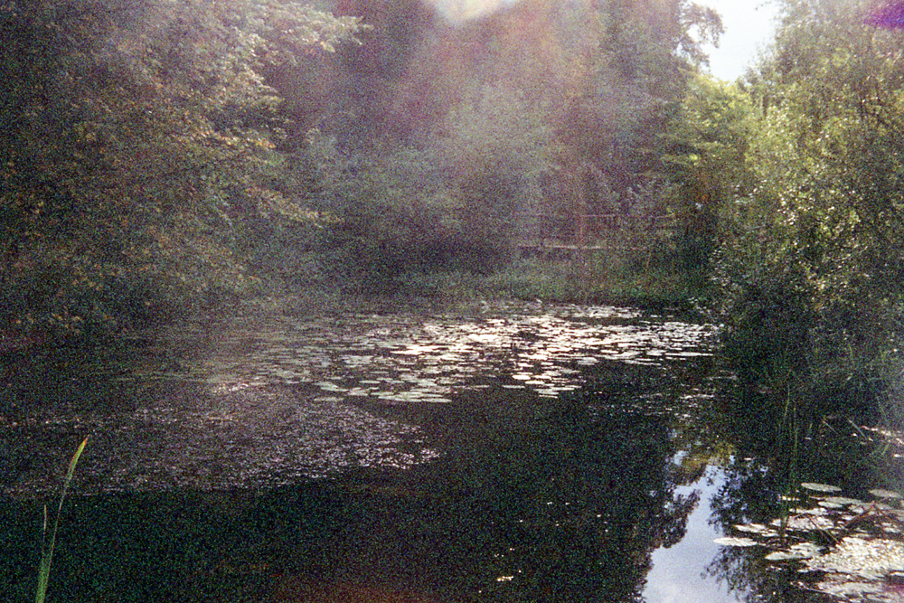 Kodak Retinette – Jardin botanique de Neuchâtel