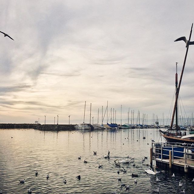 Les rives du lac Léman