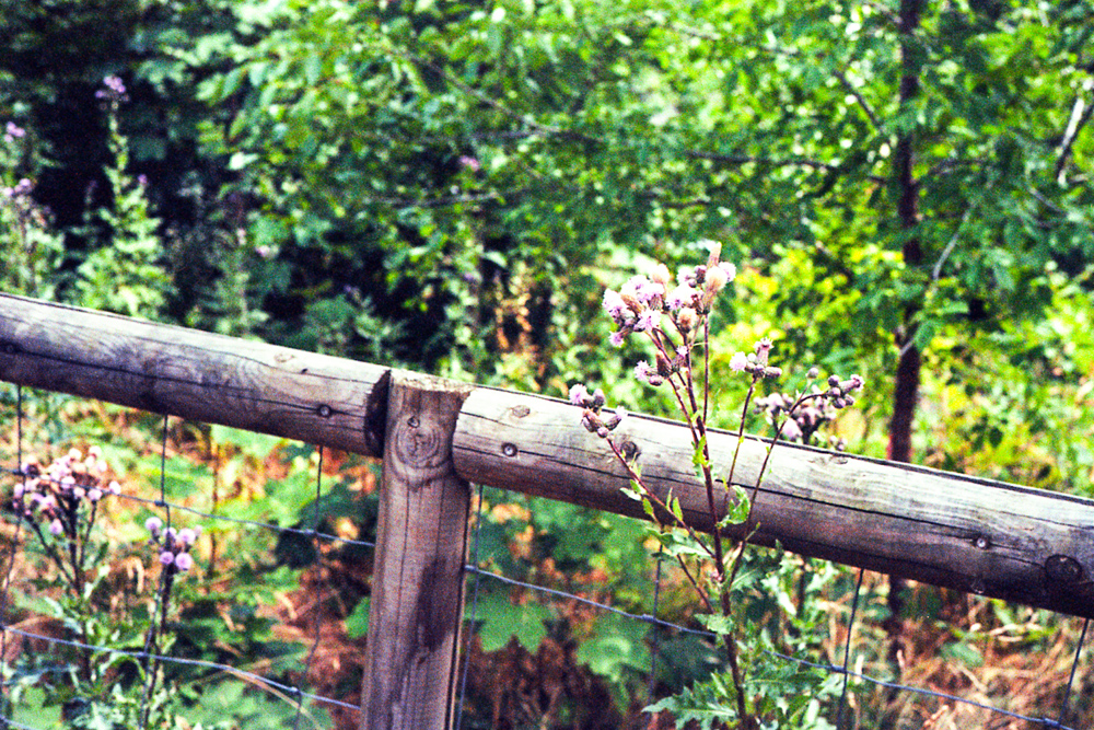 Rollei 35s – Neuchâtel