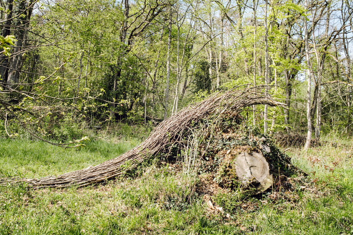 Jardin botanique de Neuchâtel, Land Art 2016 – Onda contro il populismo (Niklas Göth)