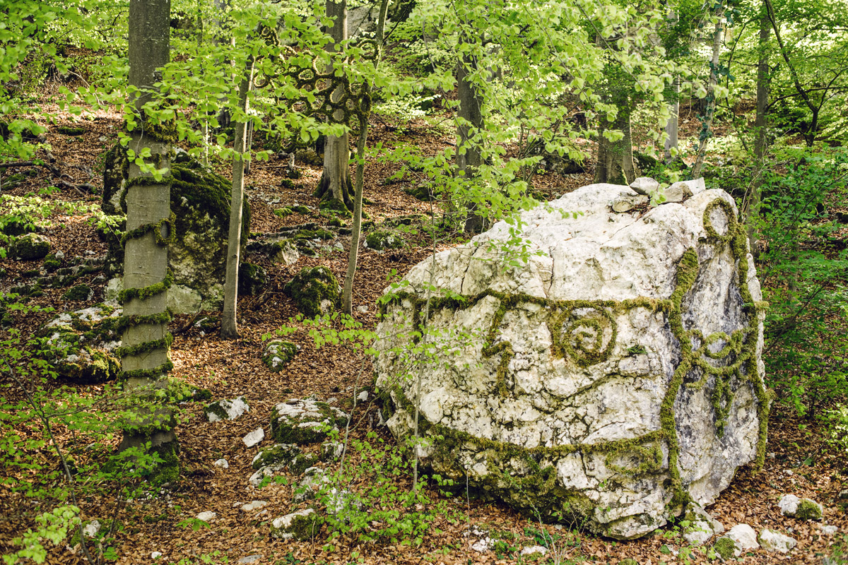 Jardin botanique de Neuchâtel, Land Art 2016 – Tout est matière, tout est vivant (Myriam Kachour)