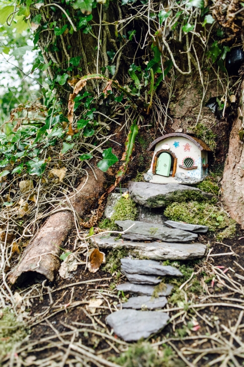 Derrynane Fairy Trail – Ring of Kerry