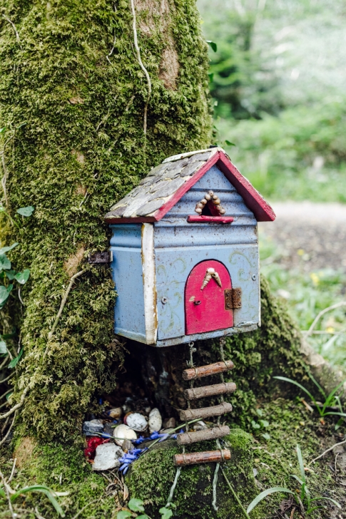 Derrynane Fairy Trail – Ring of Kerry