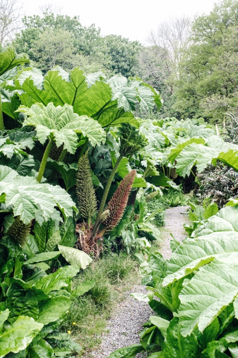 Derrynane House and Gardens – Ring of Kerry