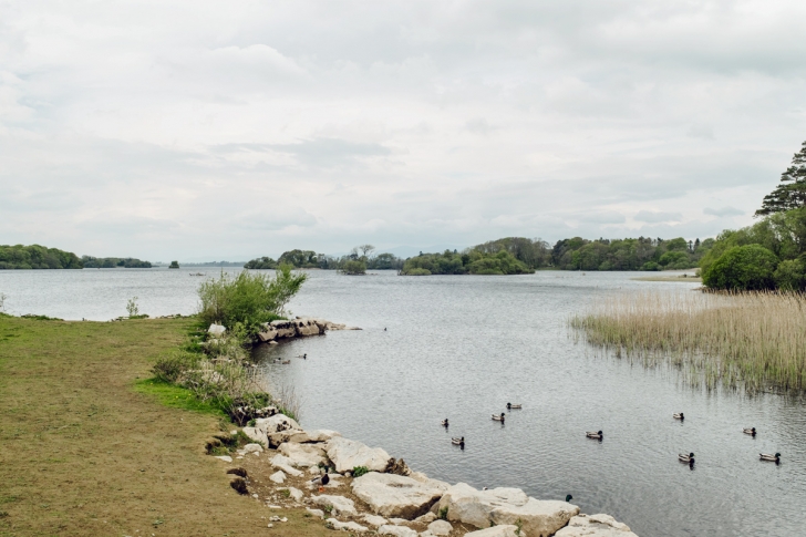 Lough Leane – Killarney National Park