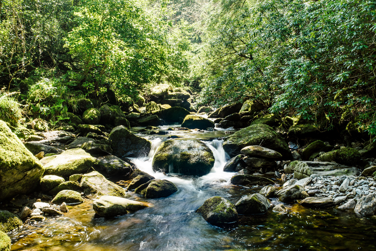 Tork Waterfall, Killarney National Park – Ring of Kerry