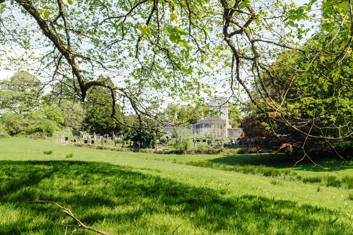 Muckross Abbey, Killarney National Park – Ring of Kerry