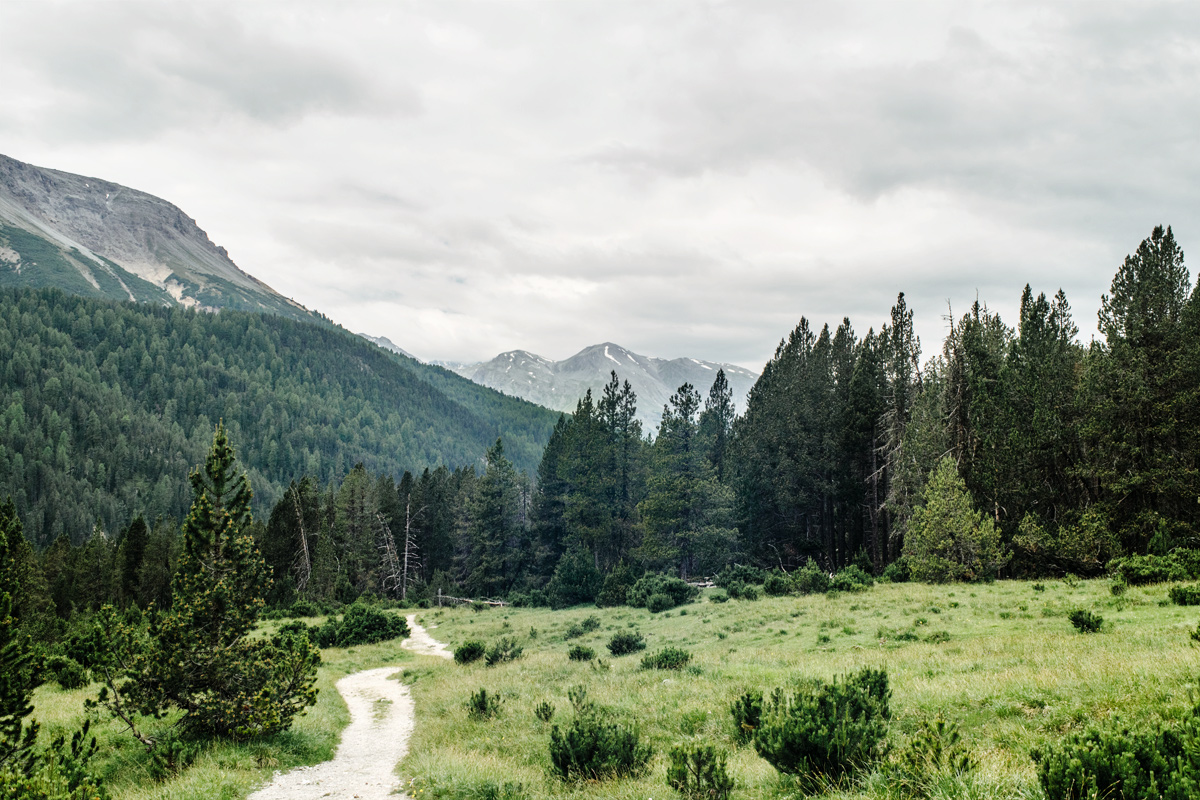 Parc National Suisse, Grisons