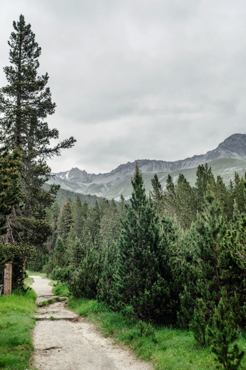 Parc National Suisse, Grisons