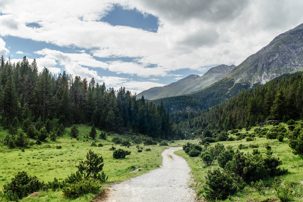 Parc National Suisse, Grisons