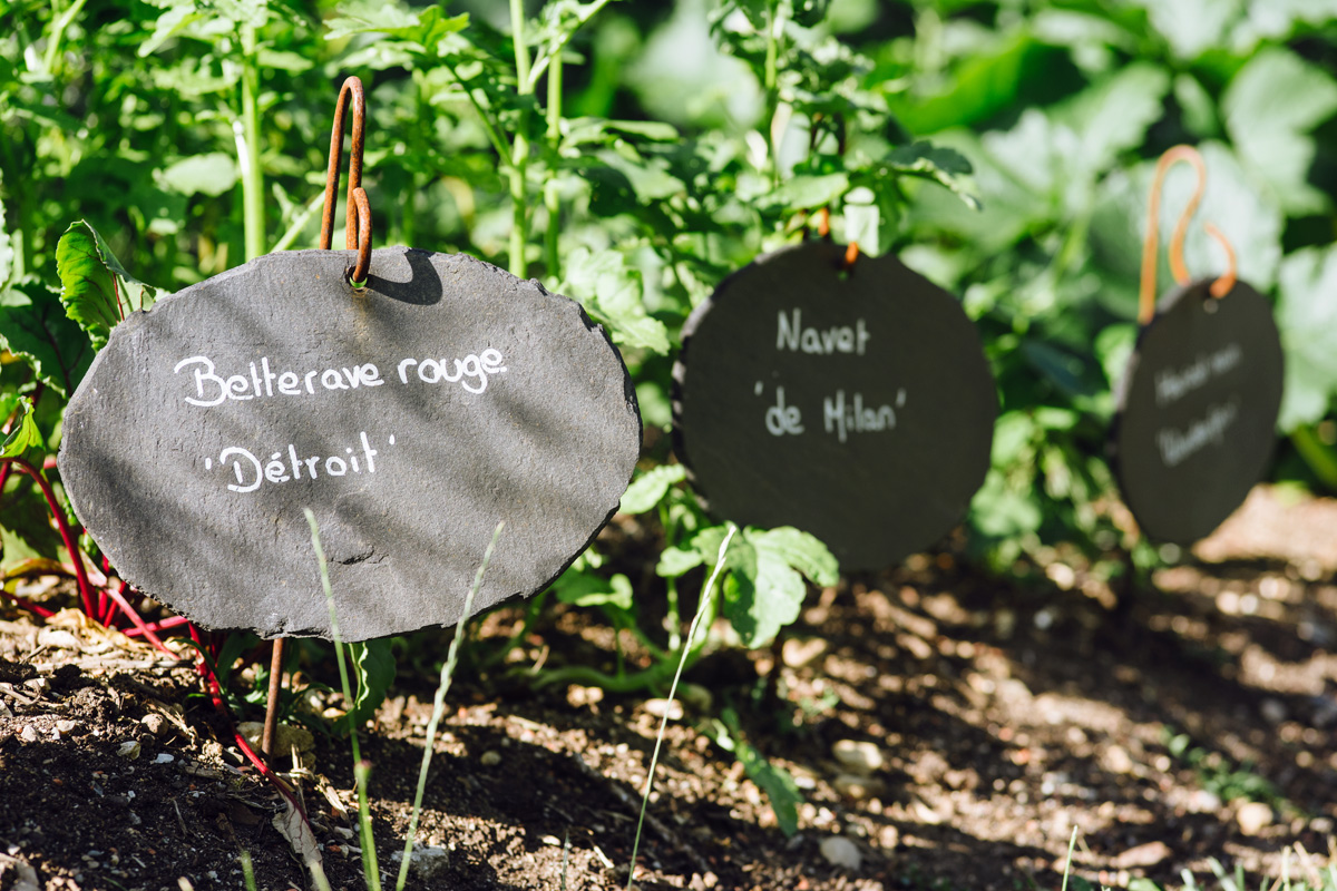 Jardin botanique de Neuchâtel – Été