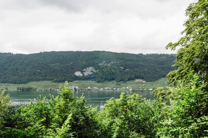 Promenade sur l'Île Saint-Pierre, vue sur la rive du lac de Bienne