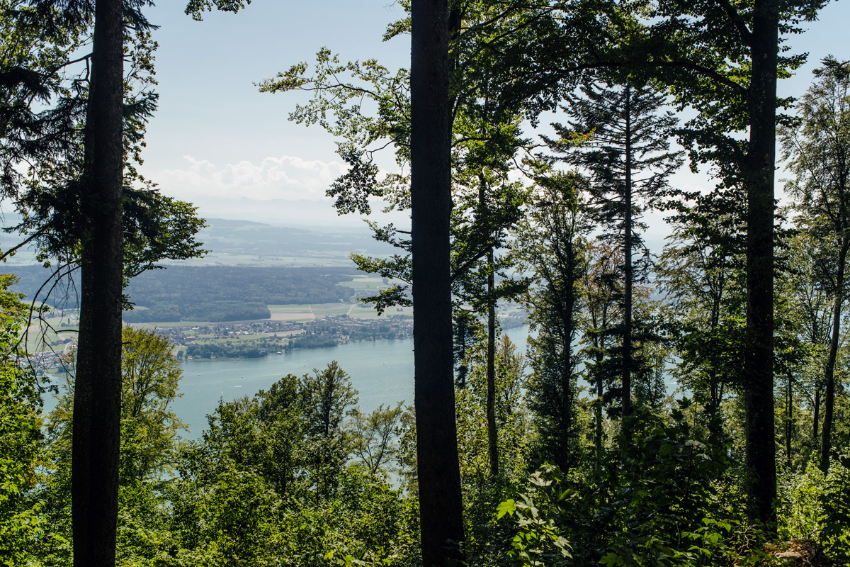 La vue sur le lac de Bienne