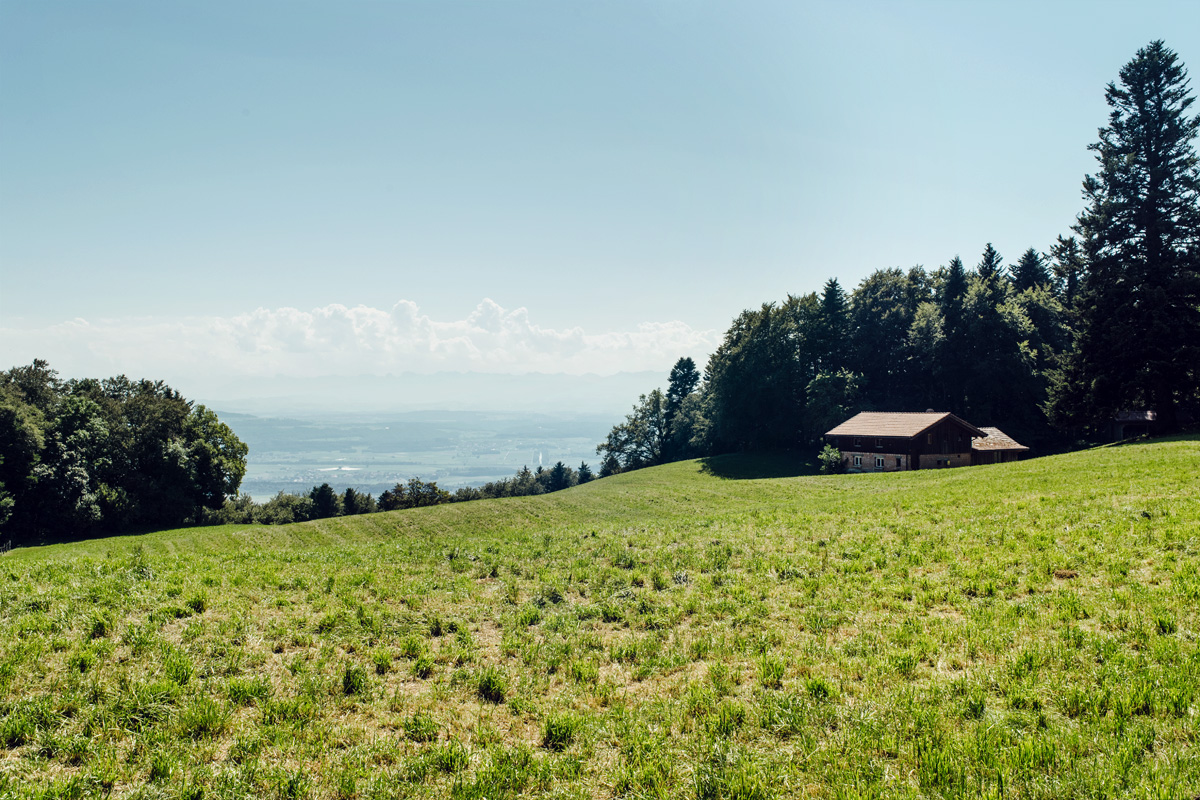 Vue sur le Seeland depuis la Montagne de Twann