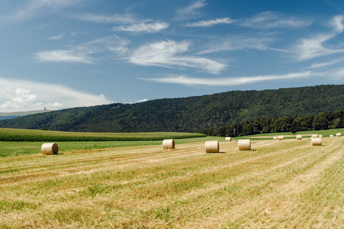 Montagne de Twann – Twannberg