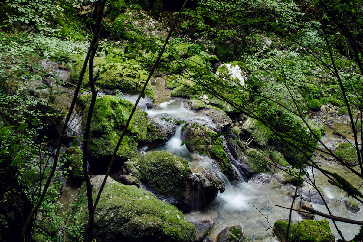 Gorges de Douanne – Twannbachschlucht