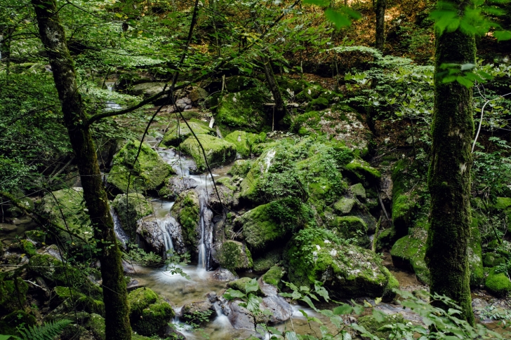 Gorges de Douanne – Twannbachschlucht