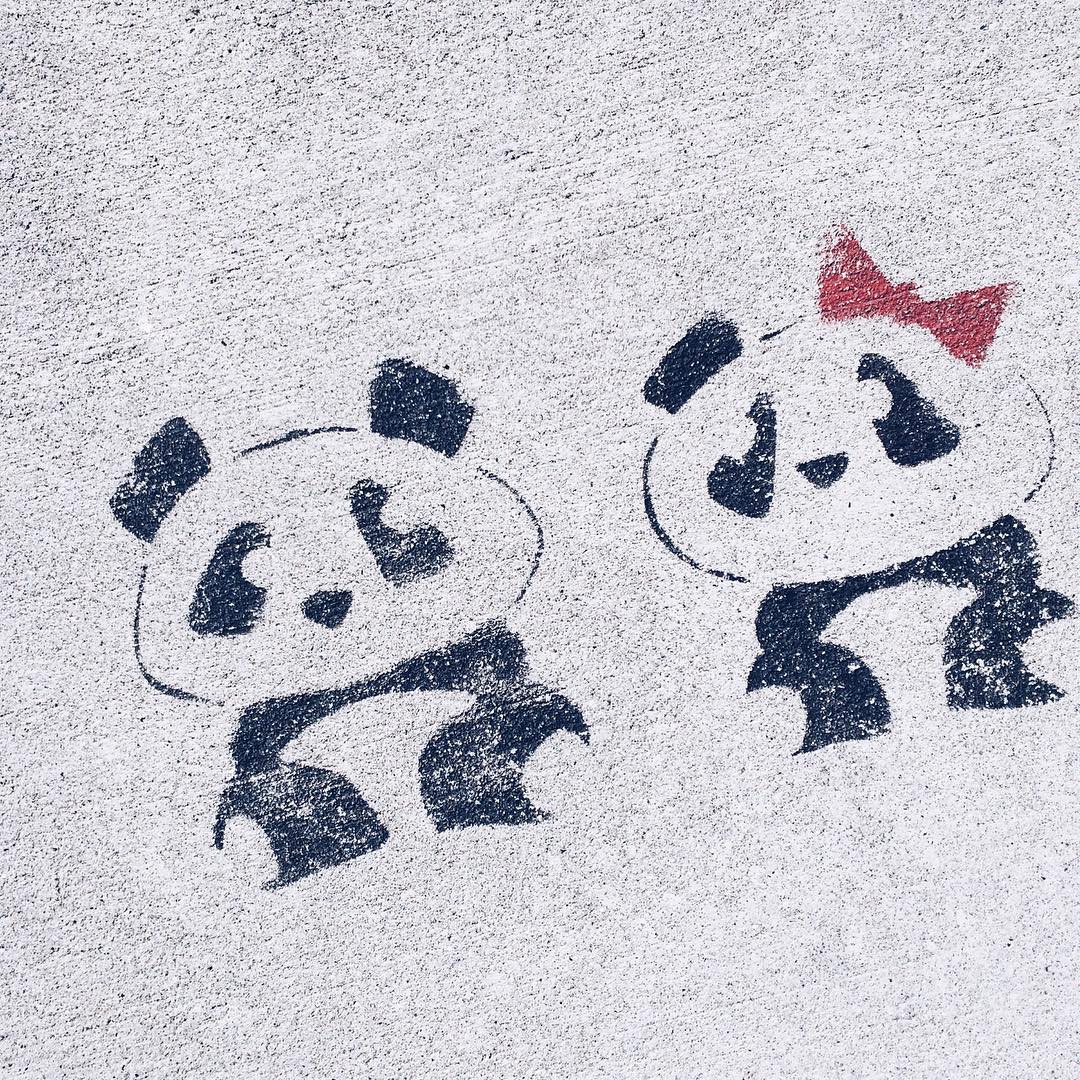 Les petits pandas du bord du lac