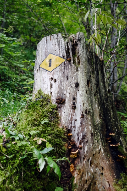 Le Creux du Van – Sentier des 14 contours