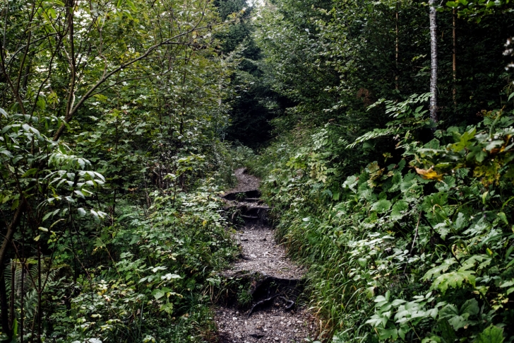 Le Creux du Van – Sentier des 14 contours