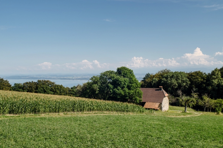 Balade dans la campagne neuchâteloise