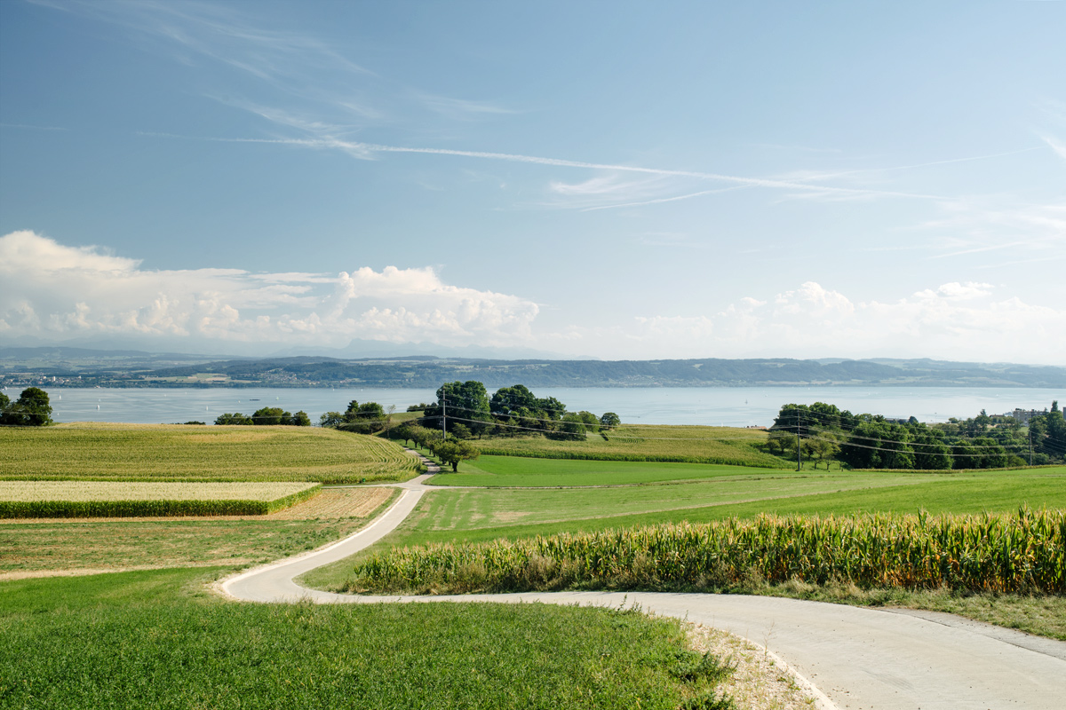 Vue sur le lac de Neuchâtel depuis les hauteurs de la Béroche