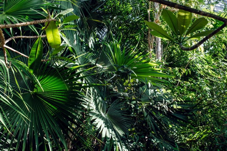 Berlin – Botanischer Garten