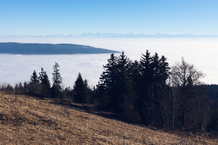 La mer de brouillard depuis les crêtes du Jura