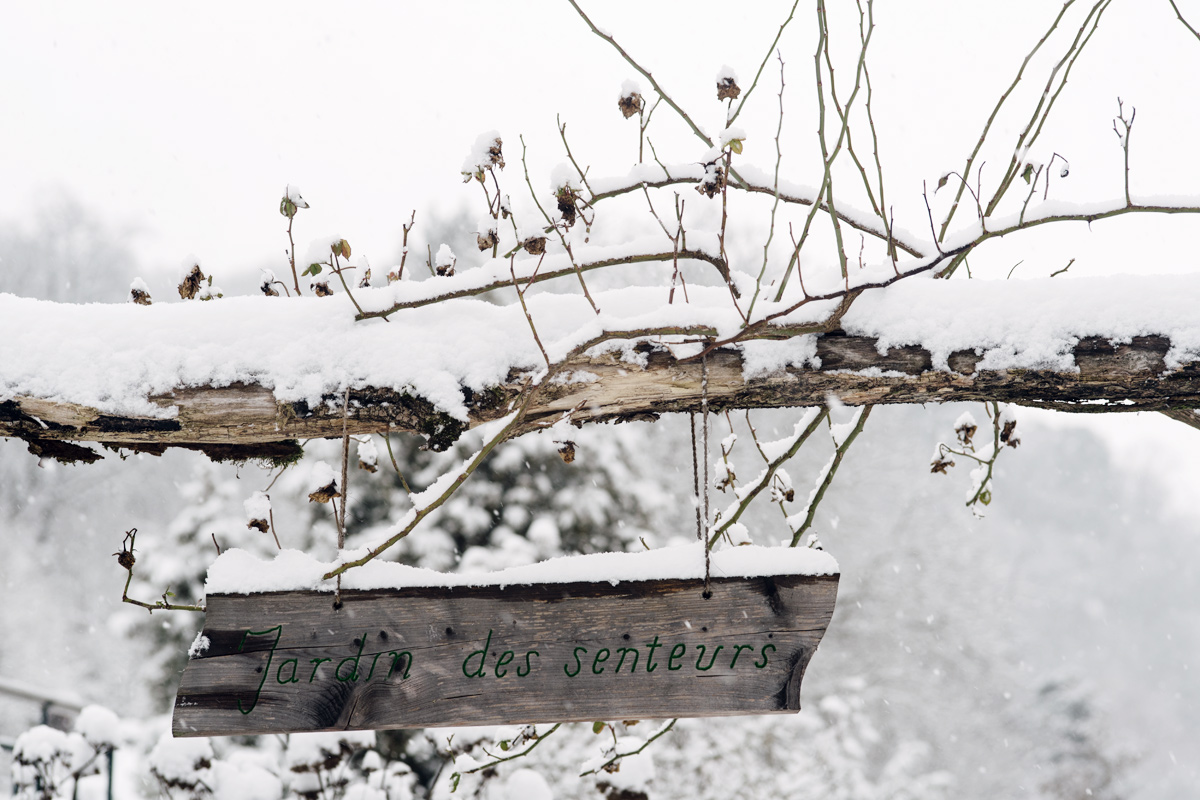 Jardin botanique de Neuchâtel – Hiver