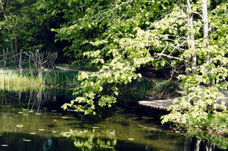 Jardin botanique de Neuchâtel – Printemps